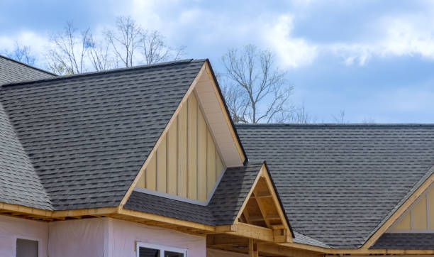 Best Roof Moss and Algae Removal  in Pinehurst, MA
